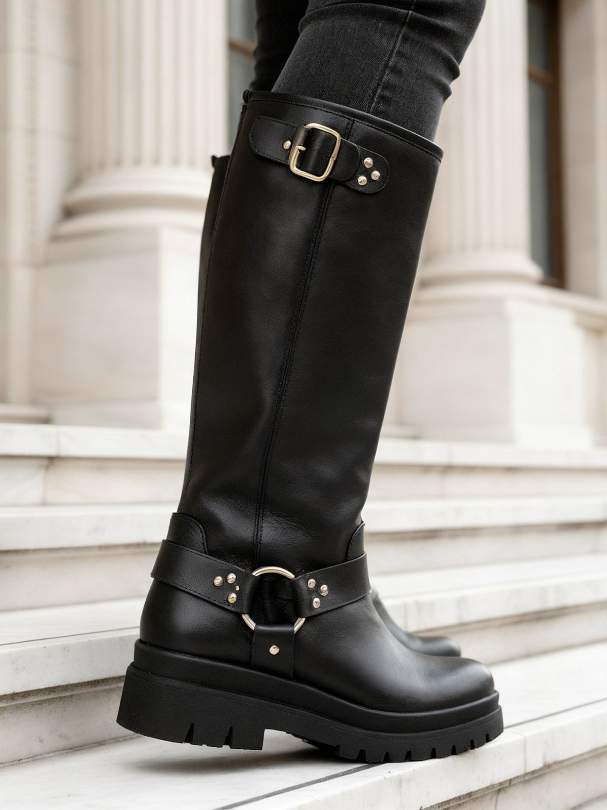 Eloise Black - WORKSHOP