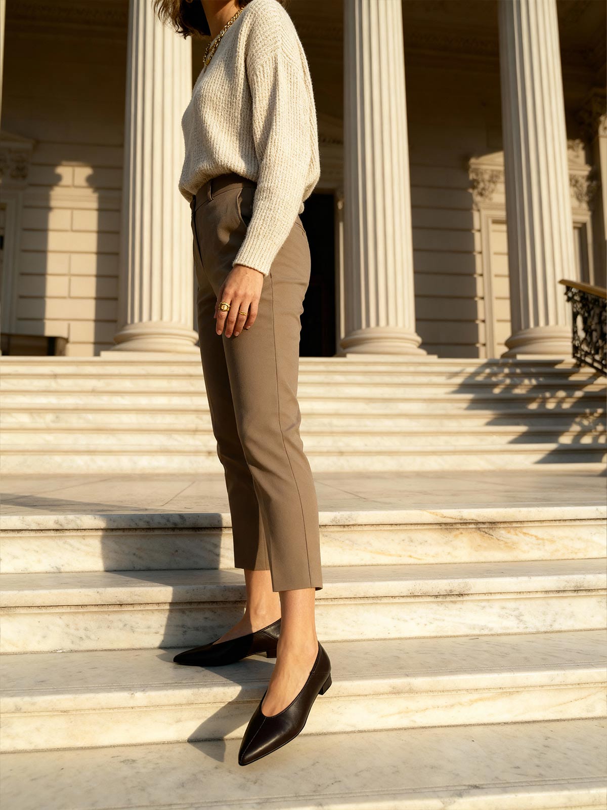 Swan Brown - WORKSHOP